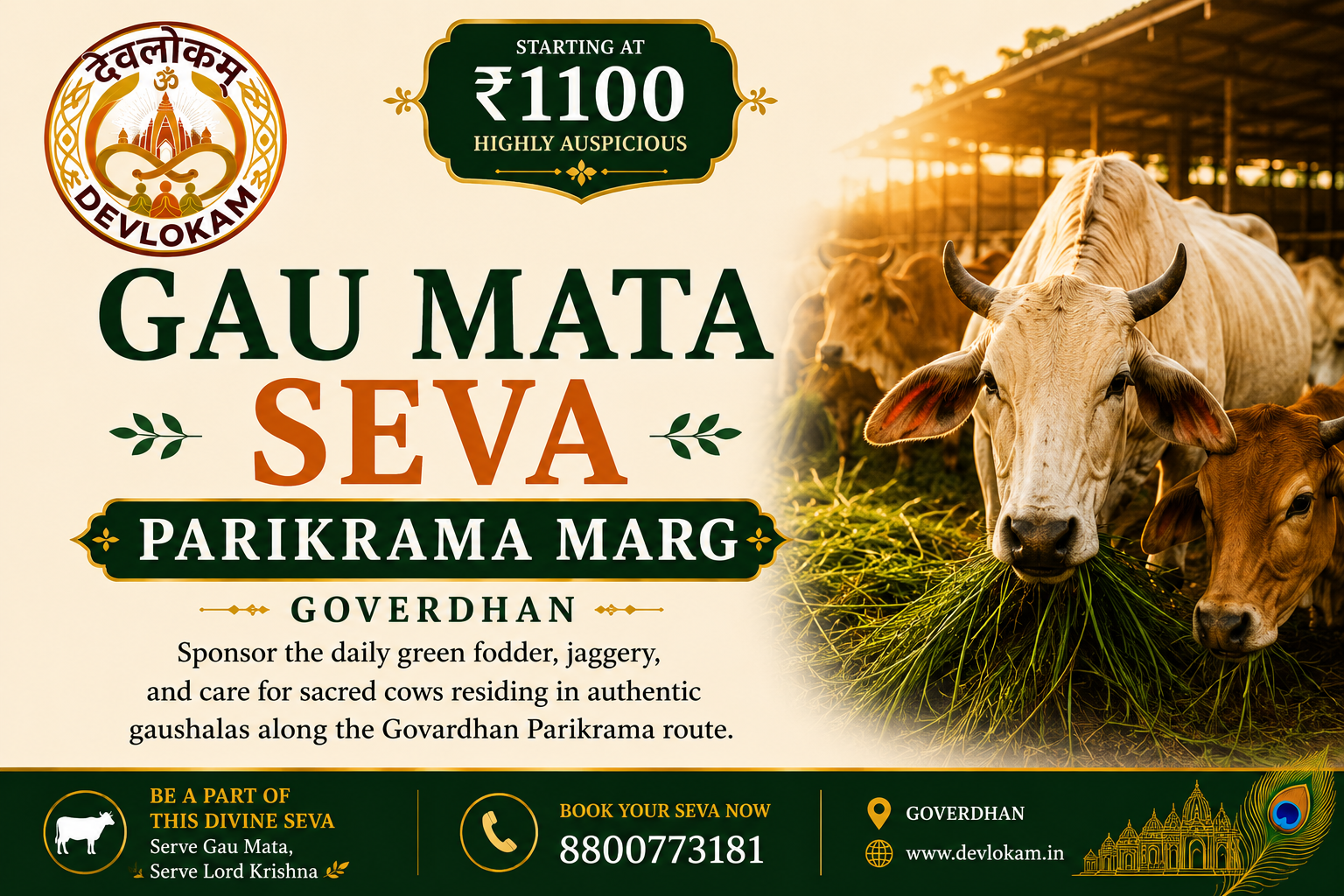 Gau Mata Seva - Parikrama Marg