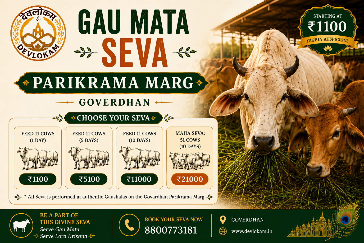 Gau Mata Seva - Parikrama Marg