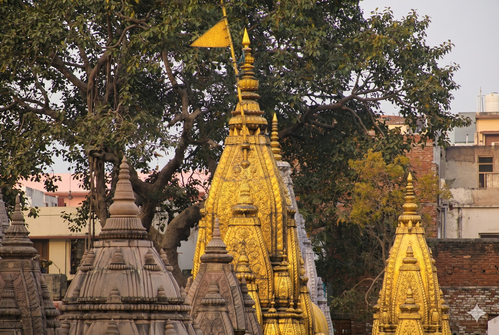 Banke Bihari Temple
